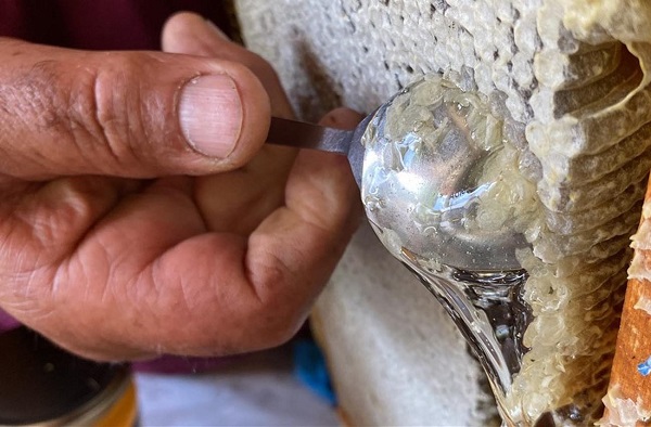 Foto - Arıcıyı şoke eden manzara! Kovanı açtığında bu manzarayla karşılaştı