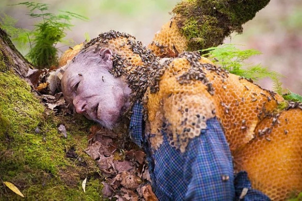 Foto - Arılar öyle bir yere kovan yaptı ki!