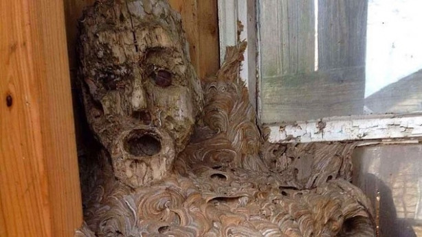 Foto - Arılar öyle bir yere kovan yaptı ki!