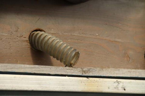 Foto - Arıların bal yapışını izlemek isteyenler akın ediyor! ‘Arıvaryum’a yoğun ilgi