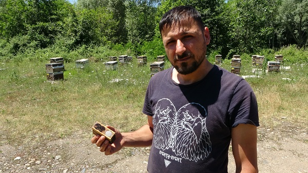 Foto - Arıların kraliçesi bu rakama satılıyor