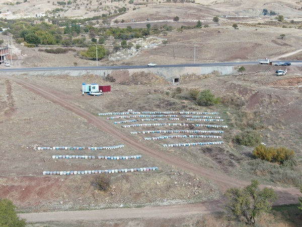 Foto - Arıların tatlı uykusu başladı
