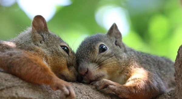 Arkeologlar bile şaştı kaldı... Tam 30 bin yıl öncesine ait!