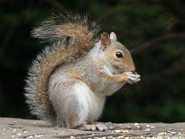 Foto - Arkeologlar bile şaştı kaldı... Tam 30 bin yıl öncesine ait!