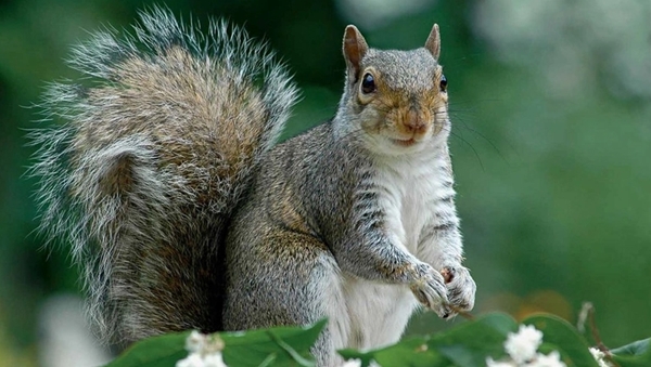 Foto - Arkeologlar bile şaştı kaldı... Tam 30 bin yıl öncesine ait!