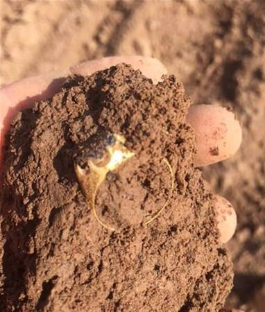 Foto - Arkeologlar kazı yaptıkları yerde bakın ne buldular...