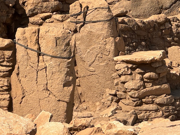 Foto - Arkeoloji dünyası Şanlıurfa'da buluşacak