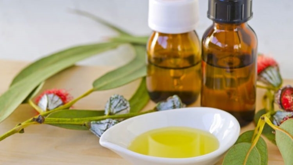 Foto - Aromatik yağlar hastalıklara şifa oluyor