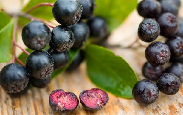 Foto - Aronya meyvesi nasıl tüketilir? Aronya meyvesi ne işe yarar?