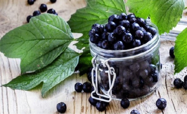 Aronya meyvesi nasıl tüketilir? Aronya meyvesi ne işe yarar?