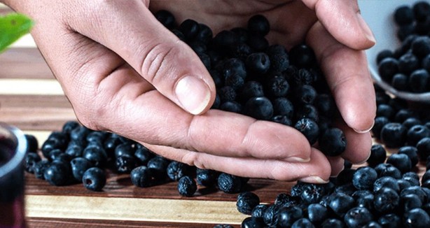 Foto - Aronya meyvesi nasıl tüketilir? Aronya meyvesi ne işe yarar?