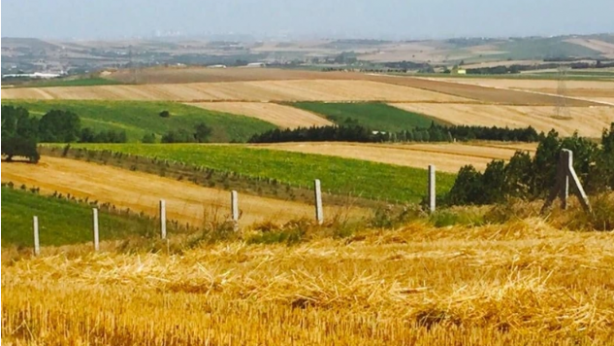 Foto - Arsa sahipleri aman dikkat! Bakanlık her ay para ödeyecek