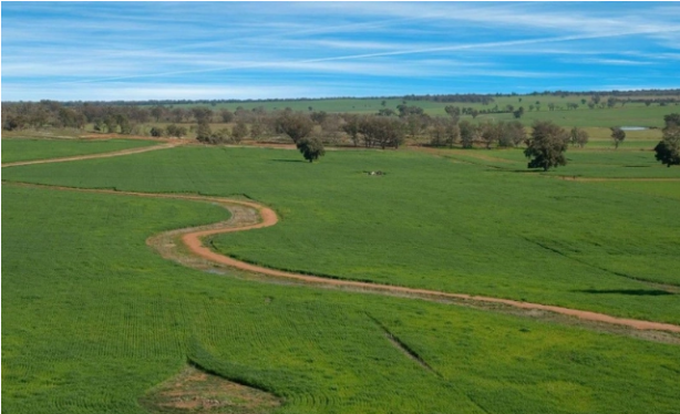 Foto - Arsa sahipleri aman dikkat! Bakanlık her ay para ödeyecek