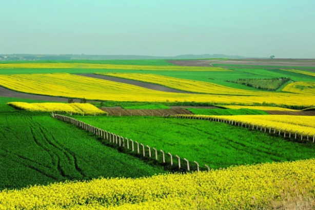 Foto - Arsa sahipleri aman dikkat! Bakanlık her ay para ödeyecek