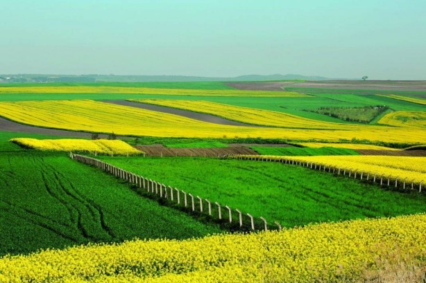 Foto - Arsaların metrekaresini 3 liradan satmaya başladılar! Almayanı resmen dövüyorlar
