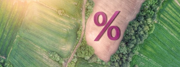 Foto - Arsaların metrekaresini 3 liradan satmaya başladılar! Almayanı resmen dövüyorlar