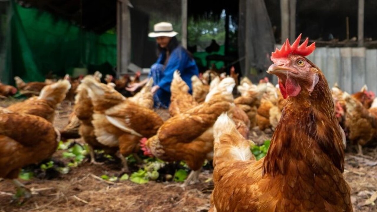 Foto - Artık çöpe atmanıza gerek kalmayacak! İşte bayat ekmekleri değerlendirmenin kolay yolu