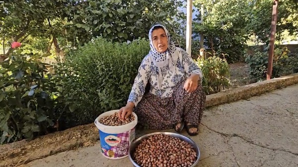 Foto - Artık o ilde de fındık yetişiyor