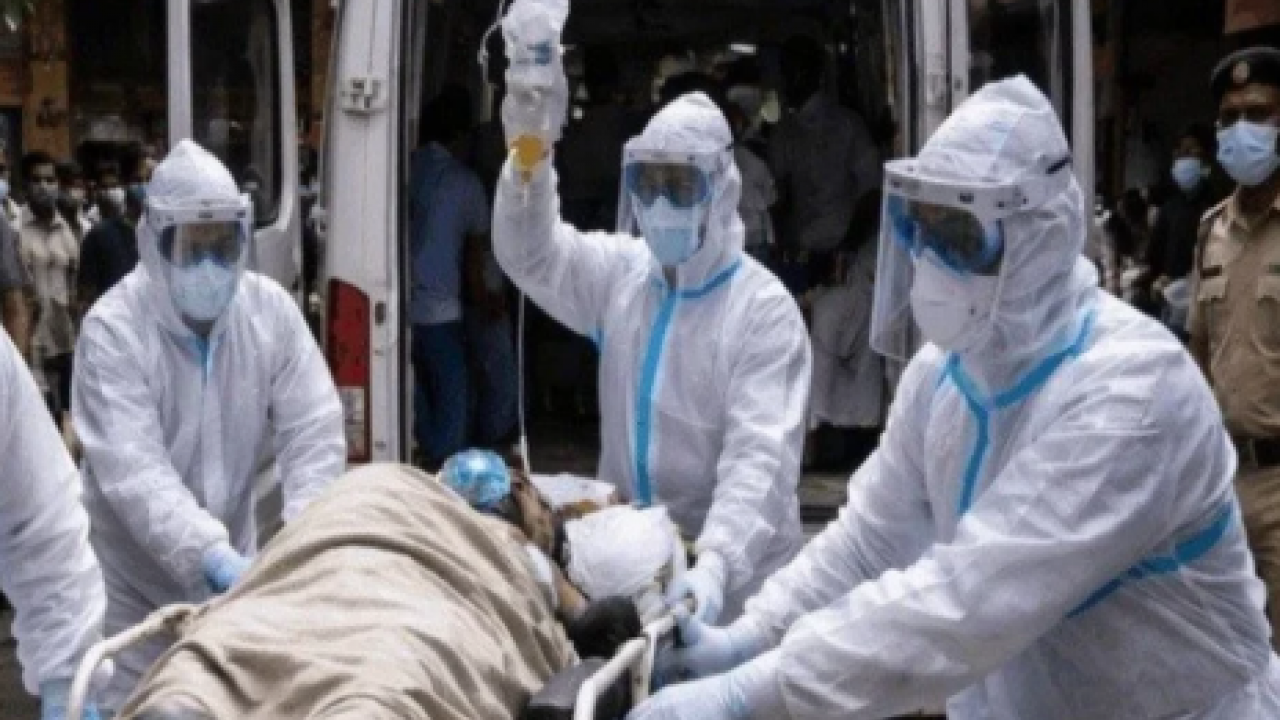 Nipah virüsünün tedavisi yok: Ölüm oranı yüzde 70'lerde!