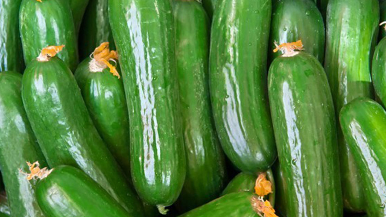 Foto - Artık salatalık filan yemeyin! İki ünlü market zincirinden alıp teste gönderdi, şok sonuç çıktı