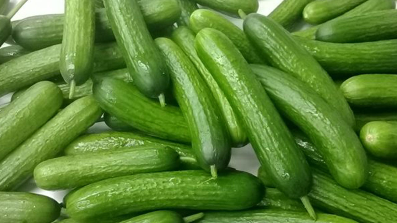 Foto - Artık salatalık filan yemeyin! İki ünlü market zincirinden alıp teste gönderdi, şok sonuç çıktı