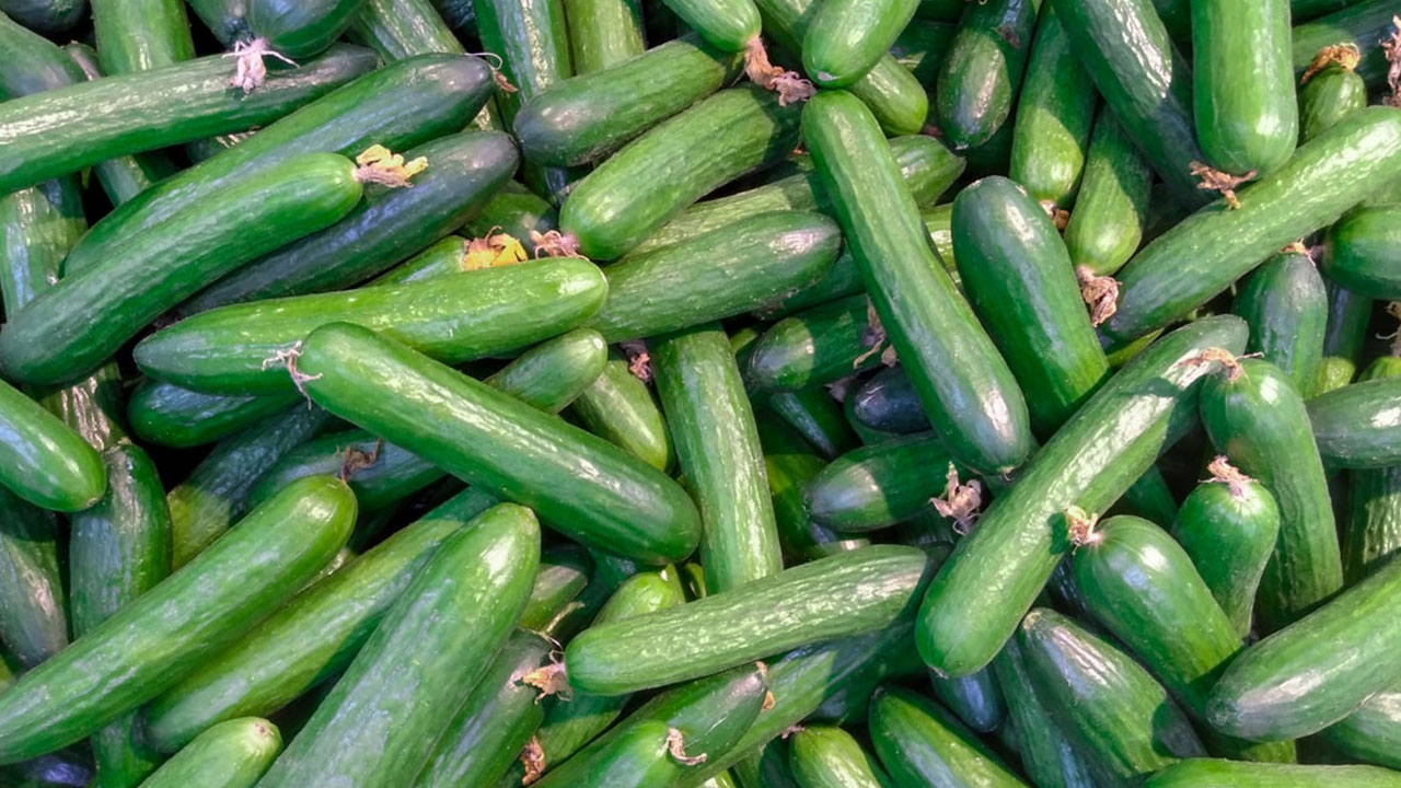 Artık salatalık filan yemeyin! İki ünlü market zincirinden alıp teste gönderdi, şok sonuç çıktı