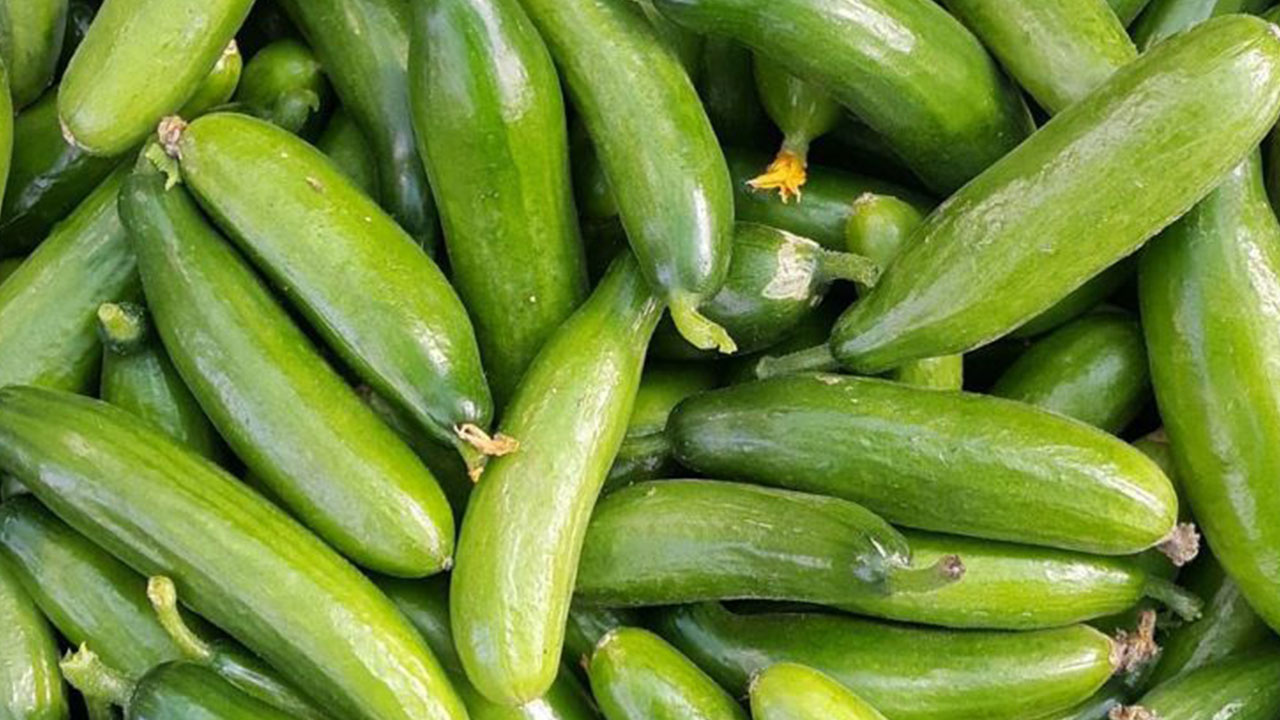 Foto - Artık salatalık filan yemeyin! İki ünlü market zincirinden alıp teste gönderdi, şok sonuç çıktı