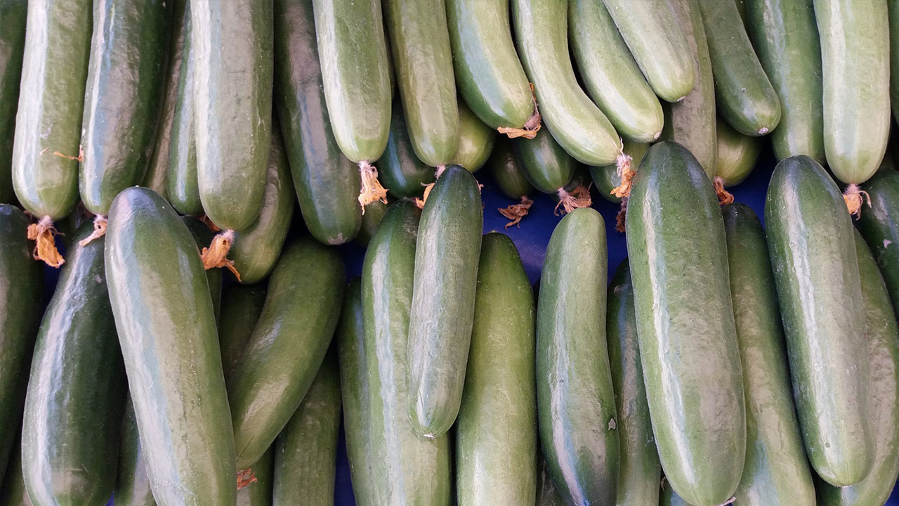 Foto - Artık salatalık filan yemeyin! İki ünlü market zincirinden alıp teste gönderdi, şok sonuç çıktı