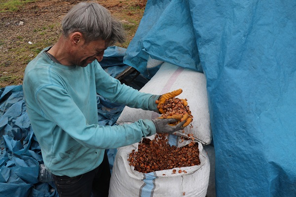 Foto - Artık yurt dışından almaya gerek yok! Onlarca kez denedi sonunda başardı