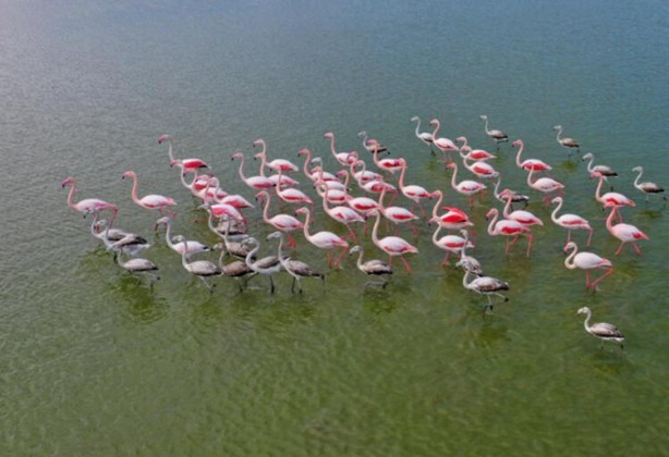 Foto - Artık yürüyerek geziyorlar! Felaketi böyle anlattı