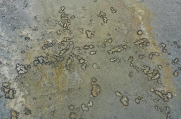 Foto - Artık yürüyerek geziyorlar! Felaketi böyle anlattı