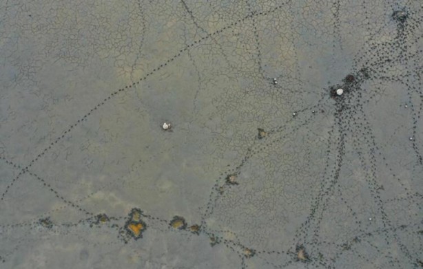 Foto - Artık yürüyerek geziyorlar! Felaketi böyle anlattı