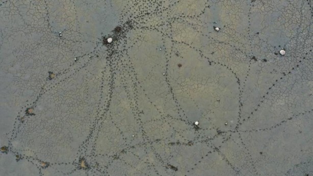 Artık yürüyerek geziyorlar! Felaketi böyle anlattı