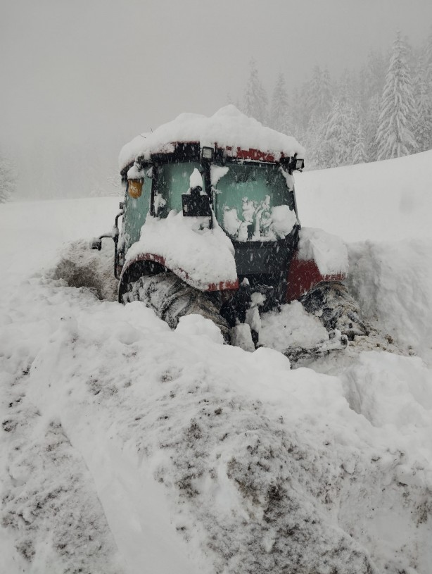 Artvin'de ekiplerin karla mücadelesi sürüyor