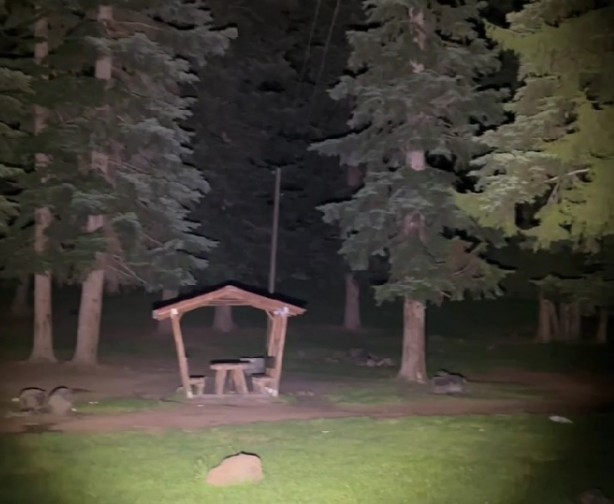 Foto - Artvin'de kamp yapan gençlerin boz ayılarla mücadelesi