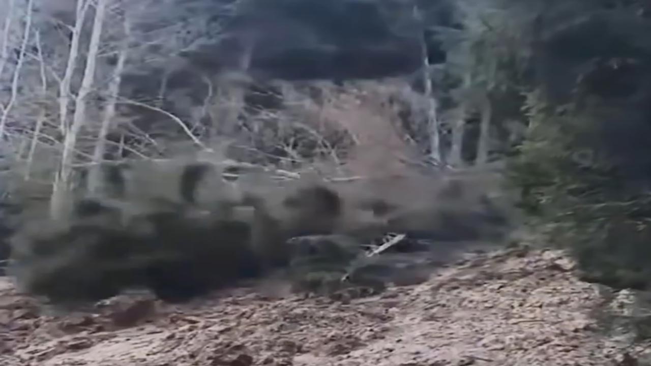 Foto - Artvin’de korkutan heyelan! Ağaçlar kökünden söküldü