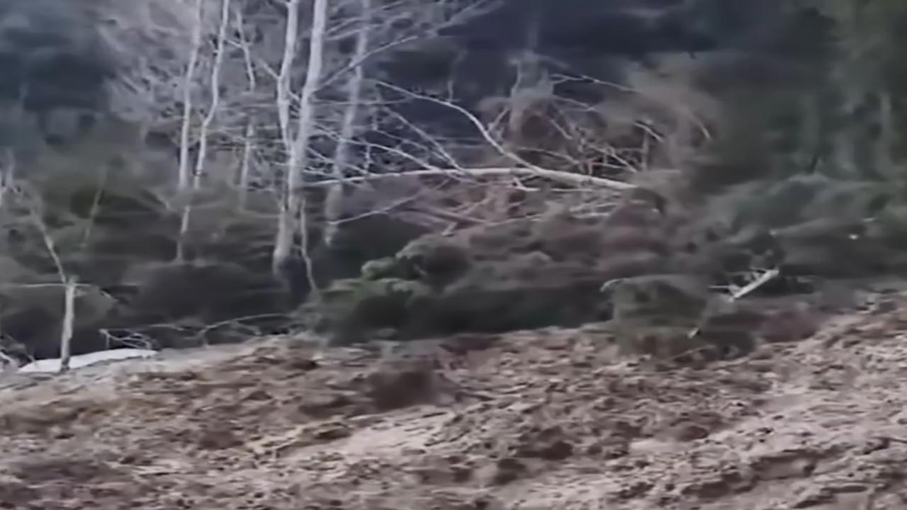 Foto - Artvin’de korkutan heyelan! Ağaçlar kökünden söküldü