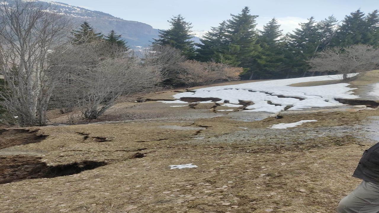 Artvin’de korkutan heyelan! Ağaçlar kökünden söküldü