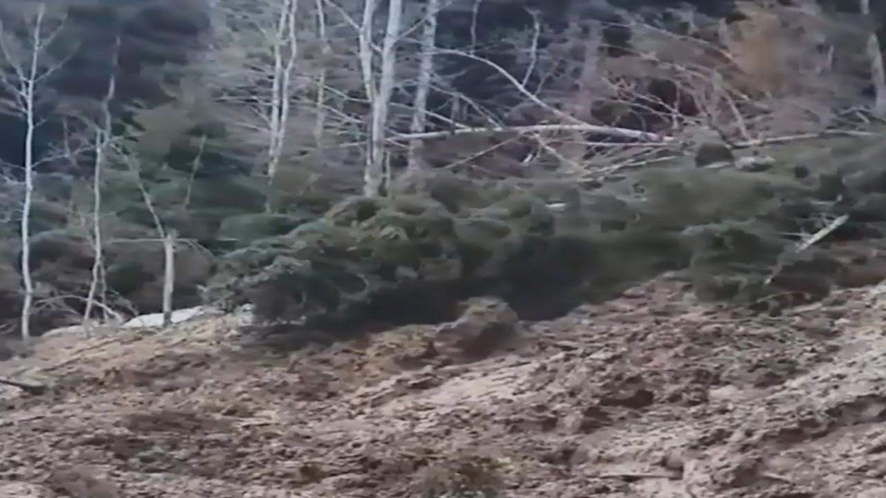 Foto - Artvin’de korkutan heyelan! Ağaçlar kökünden söküldü