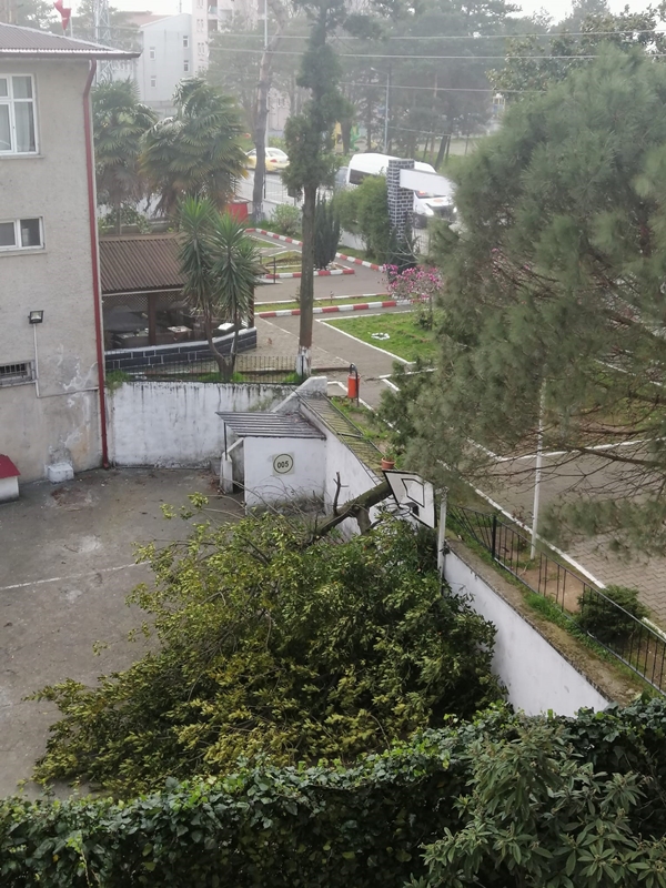 Foto - Artvin’de kuvvetli fırtına çatıları uçurdu