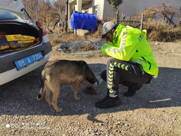 Foto - Artvin'de polisler sokak hayvanlarını besledi