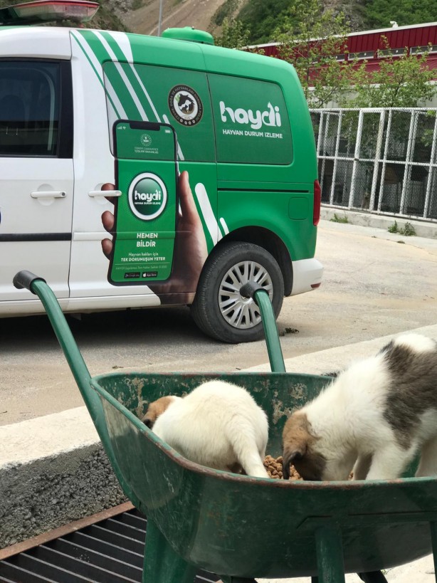 Foto - Artvin'de polisler sokak hayvanlarını besledi