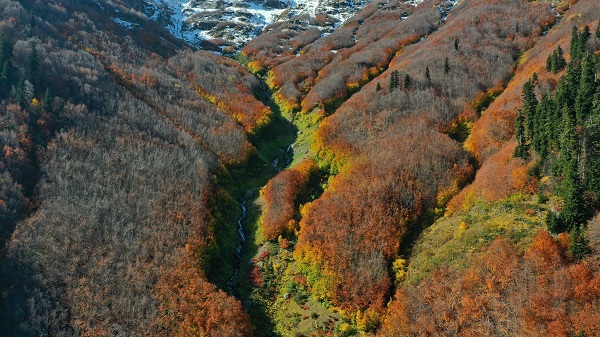 Foto - Artvin’de sonbahar görüntülendi mest etti