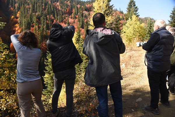 Foto - Artvin’de sonbahar görüntülendi mest etti