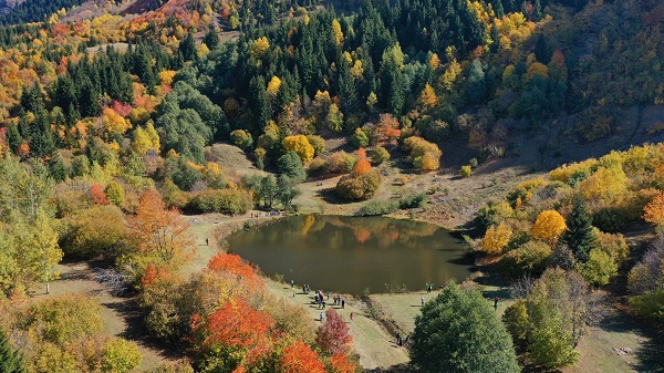 Foto - Artvin’de sonbahar görüntülendi mest etti
