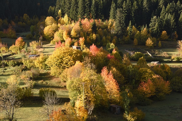 Foto - Artvin’de sonbahar görüntülendi mest etti