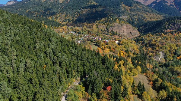 Foto - Artvin’de sonbahar görüntülendi mest etti