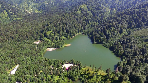 Foto - Artvin’de tabloluk manzara