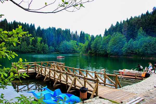 Foto - Artvin’de tabloluk manzara