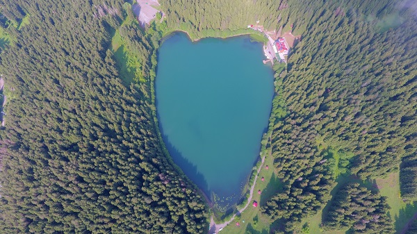 Foto - Artvin’de tabloluk manzara